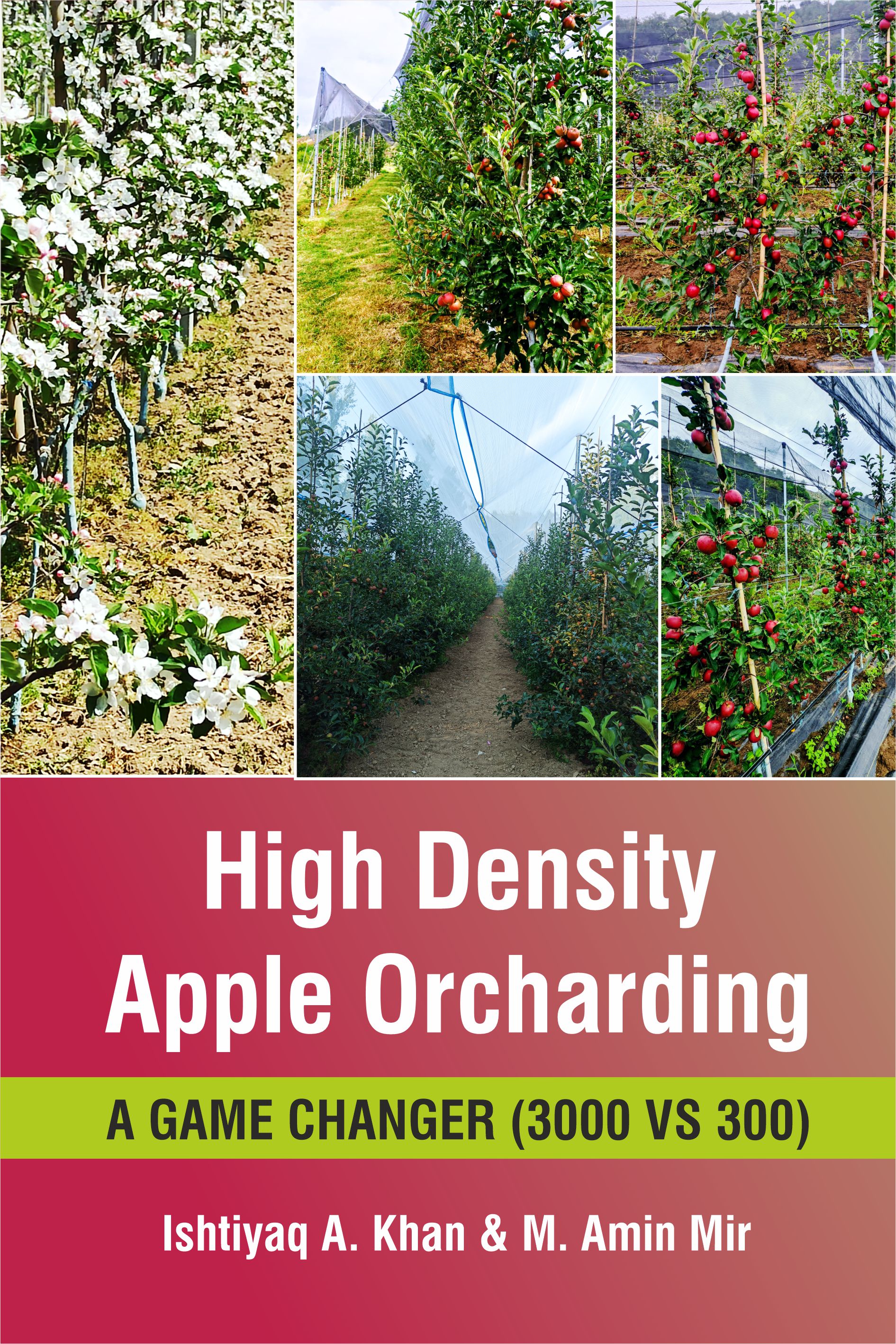 High Density Apple Orcharding: A Game Changer (3000 Vs 300)