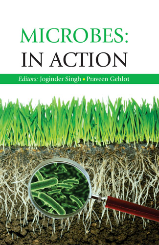 Microbes In Action