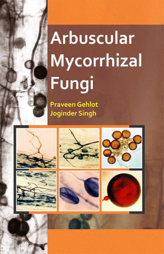 Arbuscular Mycorrhizal Fungi