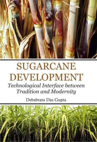 Sugarcane Development: Technological Interface Between Tradition And Modernity