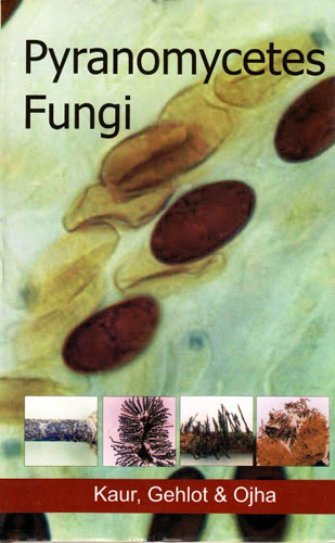 Pyranomycetes Fungi