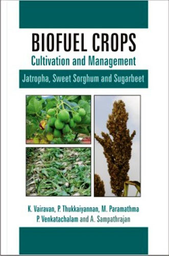 Biofuel Crops : Cultivation And Management (jatropha, Sweet Sorghum And Sugarbeet)