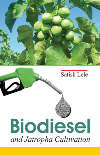 Biodiesel And Jatropha Cultivation