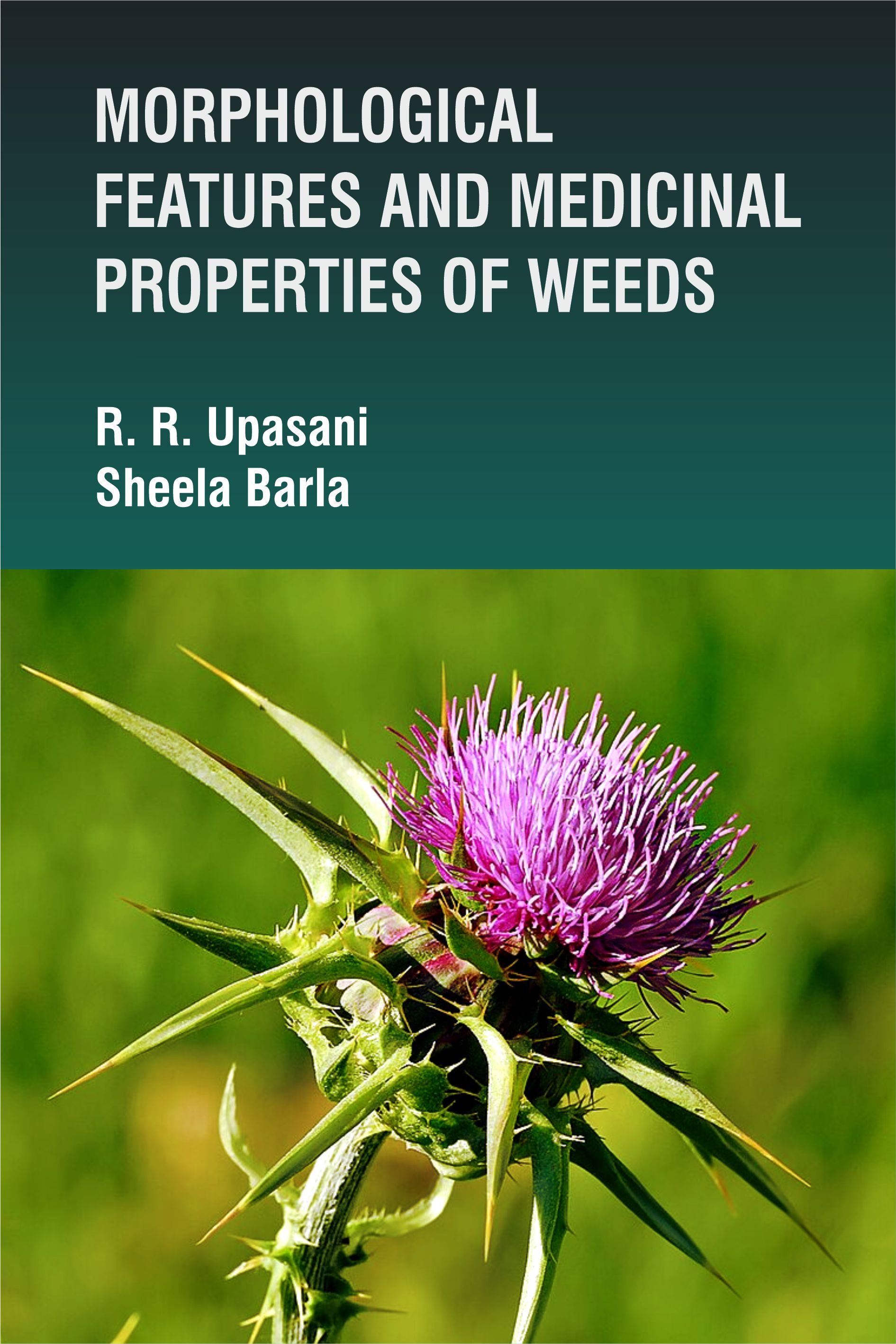Morphological Features And Medicinal Properties Of Weeds